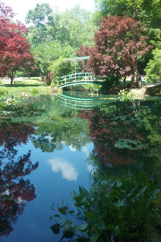 Serenity in Nature: A Japanese Garden Oasis 🌸🌿