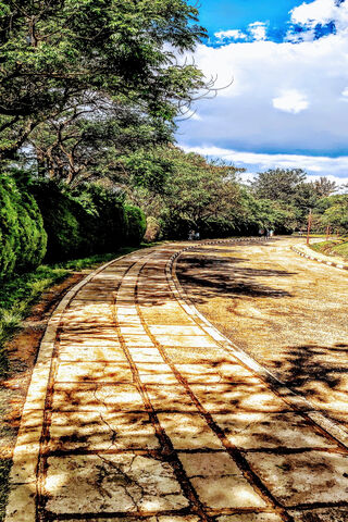 Serenity on the Kenyan Pathway 🌿🌞