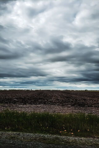 Landscape Feild