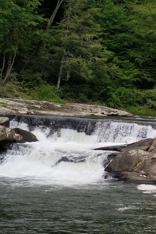 Nature's Symphony at Linville Falls 🌊🍃