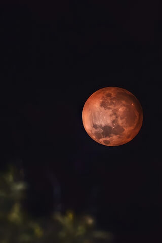 Luna Roja: The Enigmatic Blood Moon 🌕✨