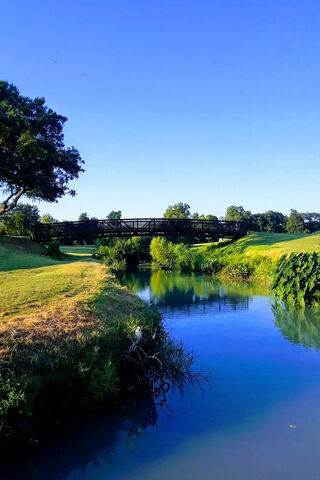 Tranquil Waters: A Serene Escape 🌳💧