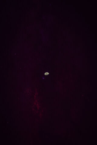 Luminous Lua: A Celestial Wonder 🌙✨