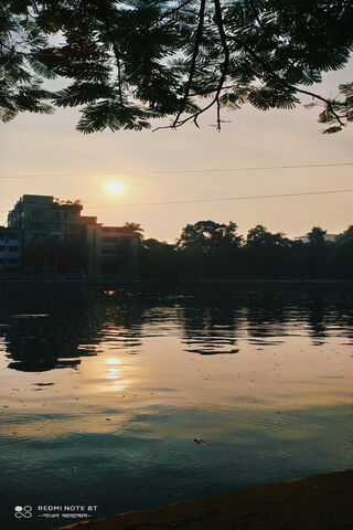 Dawn's Embrace 🌅