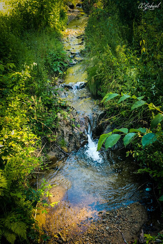 Enchanted Stream: Nature's Magic Water 🌊✨