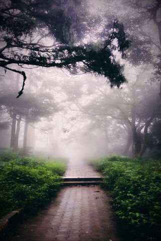 Misty Nandhi Hills