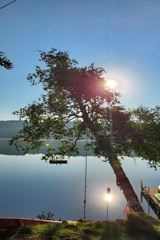 Morning Sun