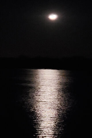 Lunar Reflections: A Night by the Water 🌙✨