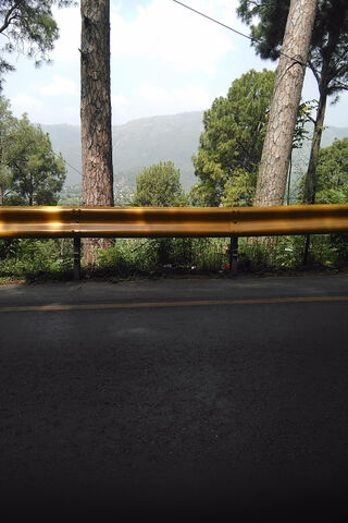 Serenity on the Mountain Road 🏞️