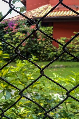 Nature's Embrace Behind the Fence 🌿🌸