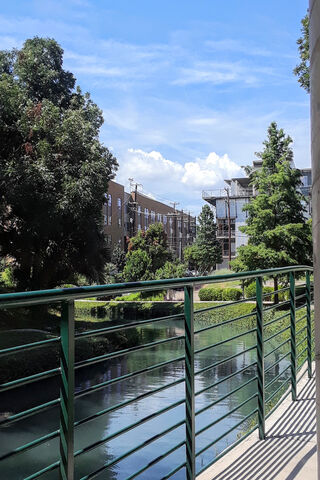 Serenity by the Stream 🌳💧