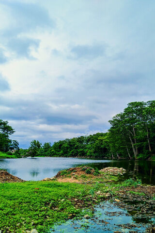 Tranquil Reflections 🌿🌊