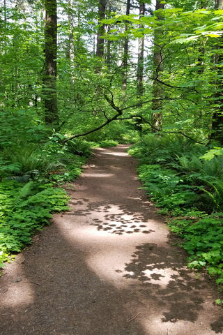 Nature Hike
