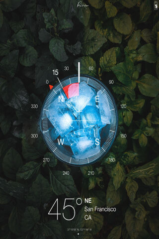 Guided by Nature's Chill 🌿🧊