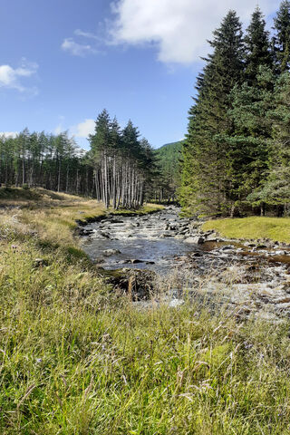 Tranquil Waters: A Journey Through Nature