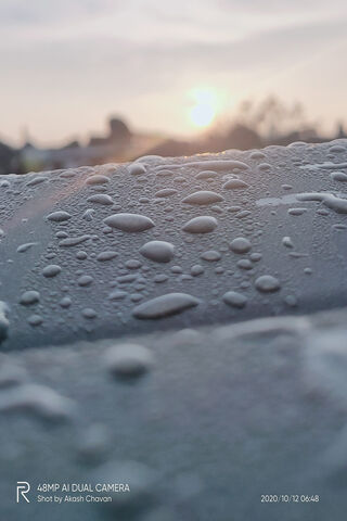 Morning Dew: Nature's Sparkling Jewels 🌅💧