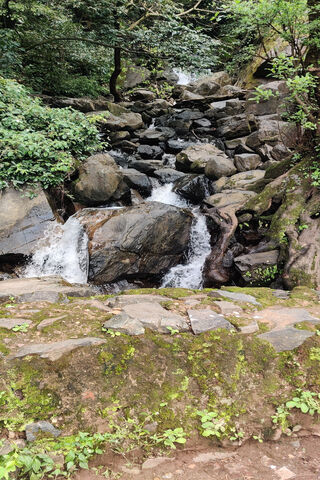 Serenity in Motion: The Tranquil Waterfall