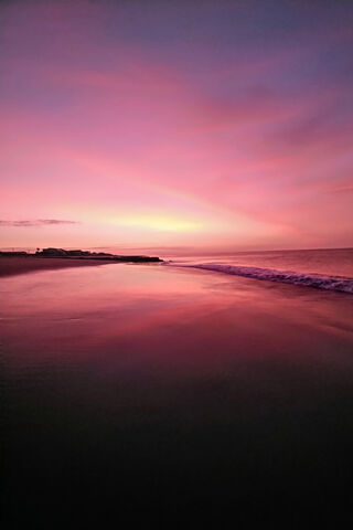 Morning Bliss: A Pink Horizon 🌅