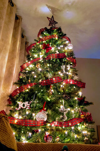 Festive Plaid Wonderland 🎄✨