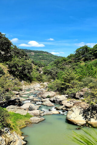 Serenity in Nature: A Tranquil Landscape