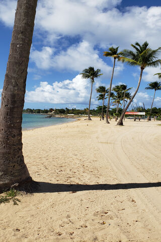 Paradise Found: The Beauty of Puerto Rico 🌴🌊