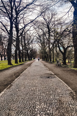 Serene Strolls in Poland's Parks 🌳✨
