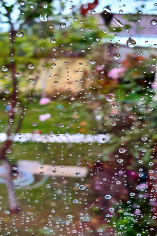 Rain Drops