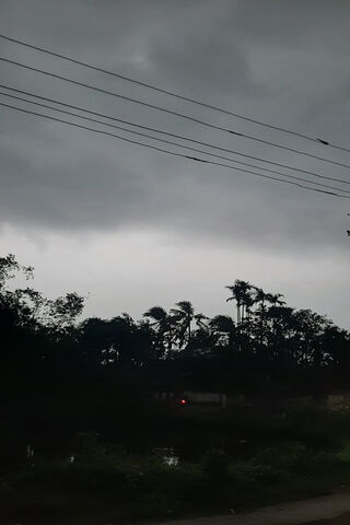 Whispers of a Rainy Day 🌧️