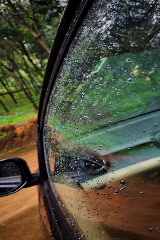 Rain Drops