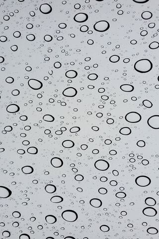 Rain Drops
