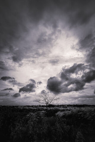 Whispers of a Rainy Day 🌧️