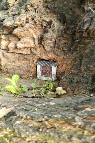Enchanted Entrance: The Tree's Hidden Portal 🌳✨