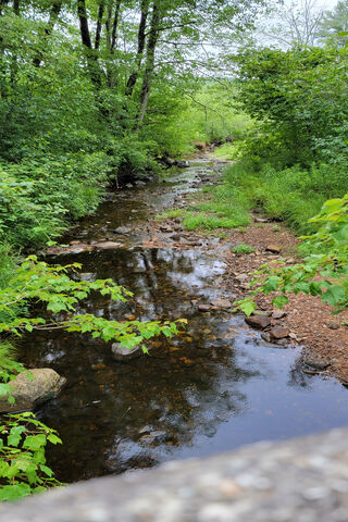 Whispers of the Stream 🌿💧