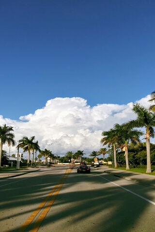 Clouds Over the Sunshin..