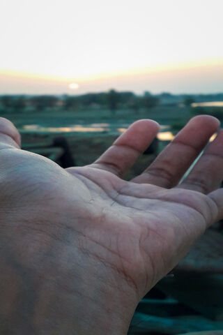 Embracing the Sun's Warmth