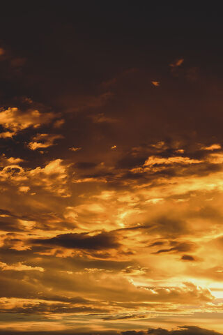 Golden Glow After the Rain 🌅✨