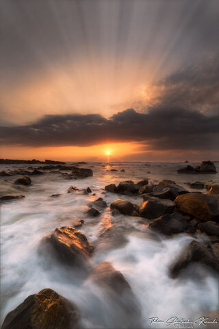 Golden Embrace: Nature's Radiant Canvas 🌅✨