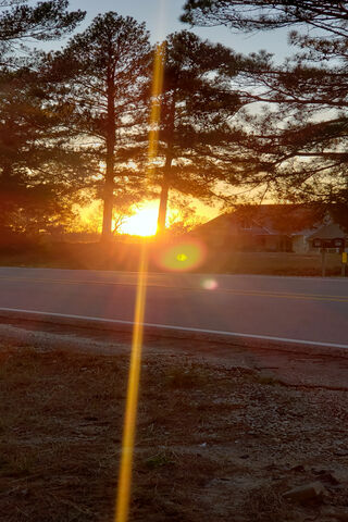 Golden Horizon: A Tranquil Evening