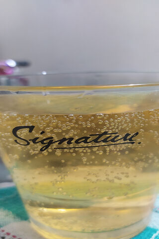 Bubbles of Elegance: The Signature Sip 🍹✨