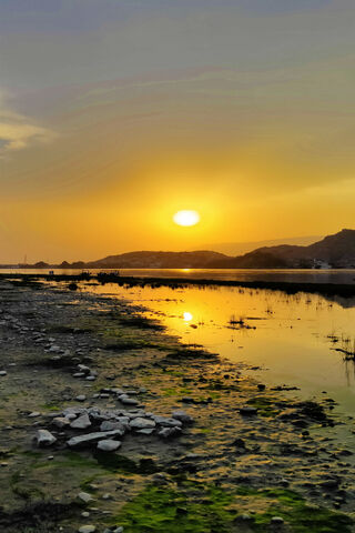 Golden Horizons: A Sunset to Remember 🌅✨