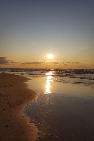 Golden Horizons: A Sunset Serenade 🌅