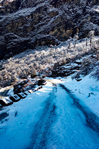 Snowy Path