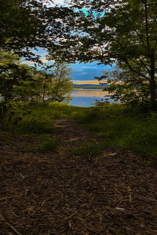 Evening Serenity: A Journey to the Water's Edge 🌅