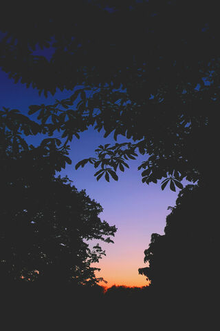 Twilight Embrace 🌅