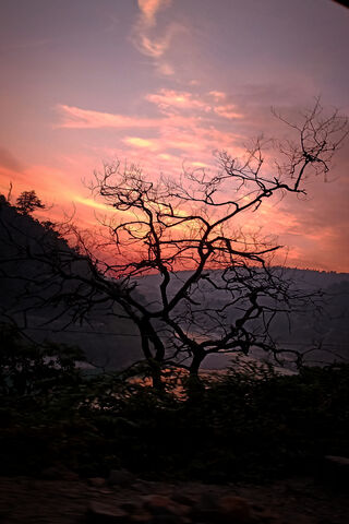 Twilight Whispers: The Autumn Embrace