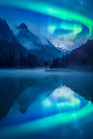 Whispers of Tranquility 🌌🌲