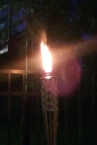 Tiki Torch: Ignite the Night! 🔥🌙