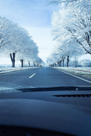 Frosty Pathways: A Journey Through Winter Wonderland ❄️🚗