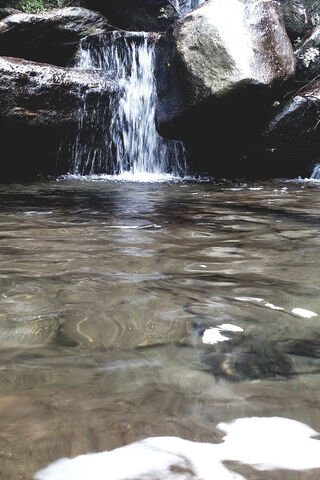 Tranquil Waters: Nature's Serenity 🌊✨