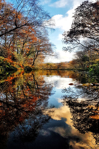 Serenity in Stillness: Nature's Mirror 🌅
